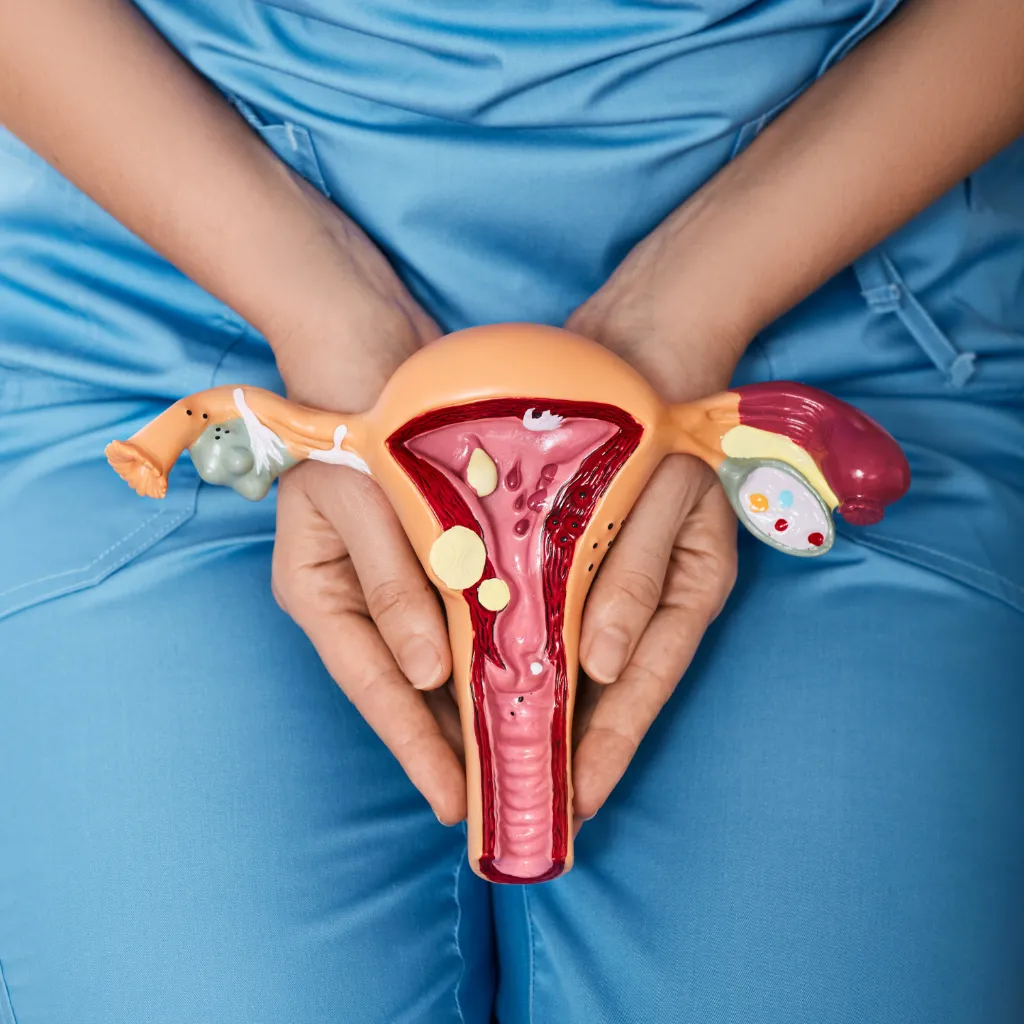 fisioterapia del suelo pélvico