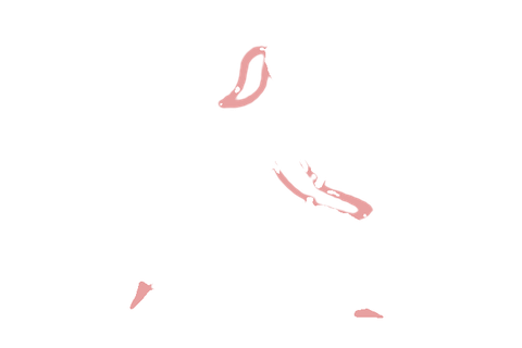 Icono entrenamiento funcional