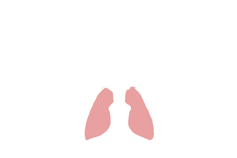 Icono problemas respiratorios
